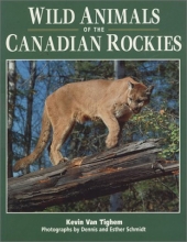 Cover art for Wild Animals of the Canadian Rockies