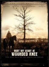 Cover art for Bury My Heart at Wounded Knee