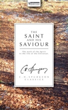 Cover art for The Saint And His Saviour