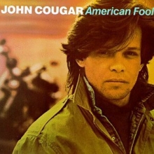 Cover art for American Fool