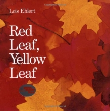 Cover art for Red Leaf, Yellow Leaf