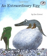 Cover art for An Extraordinary Egg