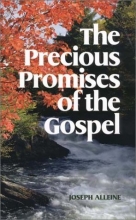 Cover art for The Precious Promises of the Gospel