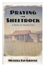 Cover art for Praying For Sheetrock: A Work Of Nonfiction