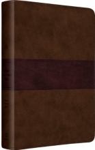 Cover art for ESV Gospel Transformation Bible (TruTone, Chocolate/Plum, Trail Design)