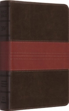 Cover art for ESV Large Print Compact Bible (TruTone, Forest/Tan, Trail Design)