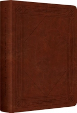 Cover art for ESV Single Column Journaling Bible (TruTone, Brown, Window Design)