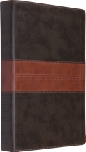 Cover art for ESV Single Column Legacy Bible (TruTone, Forest/Tan, Trail Design)