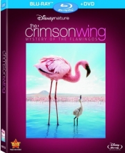 Cover art for Disneynature: Crimson Wing - The Mystery of the Flamingo  