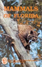 Cover art for Mammals of Florida