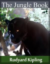 Cover art for The Jungle Book and Other Stories (Children's Treasury)