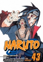 Cover art for Naruto, Vol. 43: The Man with the Truth