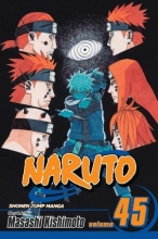 Cover art for Naruto, Vol. 45: Battlefield, Konoha