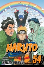 Cover art for Naruto, Vol. 54: Viaduct to Peace