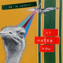 Cover art for It Hates You