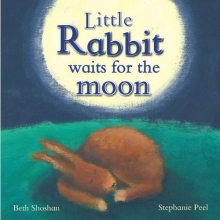 Cover art for Little Rabbit Waits For the Moon (Meadowside Picture Books) (Meadowside Pic Books)