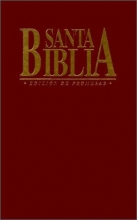 Cover art for Promise Bible-RV 1960 (Your Word Is a Lamp Unto My Feet) (Spanish Edition)