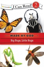 Cover art for Big Bugs, Little Bugs (I Can Read! / Made By God)