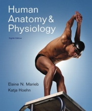 Cover art for Human Anatomy and Physiology with Interactive Physiology 10-System Suite, 8th Edition