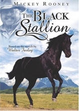 Cover art for The Black Stallion