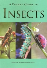 Cover art for A Pocket Guide to Insects (Pocket Guides)