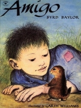Cover art for Amigo