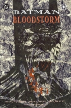 Cover art for Batman: Bloodstorm