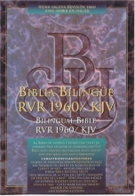 Cover art for Santa Biblia (Spanish Edition)