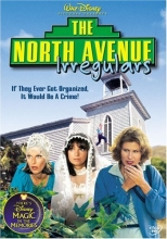 Cover art for The North Avenue Irregulars