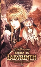 Cover art for Return to Labyrinth Volume 1 (v. 1)