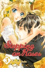 Cover art for Stepping on Roses, Vol. 3