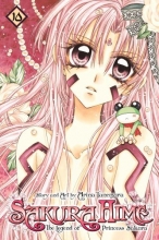 Cover art for Sakura Hime: The Legend of Princess Sakura , Vol. 10