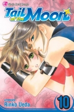 Cover art for Tail of the Moon, Vol. 10 (v. 10)