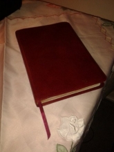Cover art for Bible: New American Standard Reference Thinline