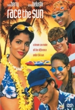 Cover art for Race the Sun