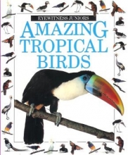Cover art for Amazing Tropical Birds (Eyewitness Juniors)