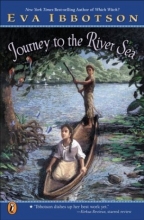 Cover art for Journey to the River Sea