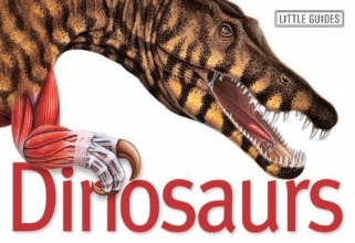 Cover art for Dinosaurs (Little Guides)