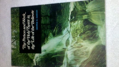 Cover art for The Person and Work of the Holy Spirit in the Life of the Believer