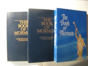 Cover art for The Book of Mormon: Another Testament of Jesus Christ