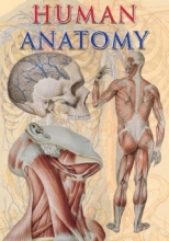 Cover art for Human Anatomy (TAJ Big Books)
