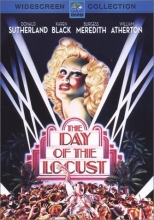Cover art for The Day of the Locust