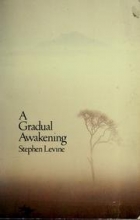 Cover art for A Gradual Awakening
