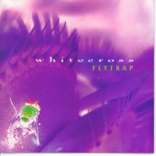 Cover art for Flytrap