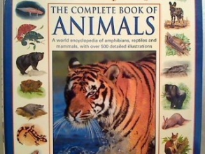 Cover art for The Complete Book of Animals