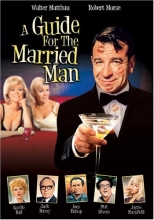 Cover art for A Guide for the Married Man