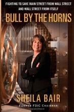 Cover art for Bull by the Horns: Fighting to Save Main Street from Wall Street and Wall Street from Itself
