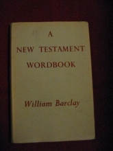 Cover art for A New Testament Wordbook