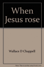 Cover art for When Jesus Rose: Sermons for the Easter Season
