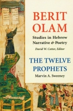 Cover art for The Twelve Prophets (Vol. 1): Hosea, Joel, Amos, Obadiah, Jonah (Berit Olam series)